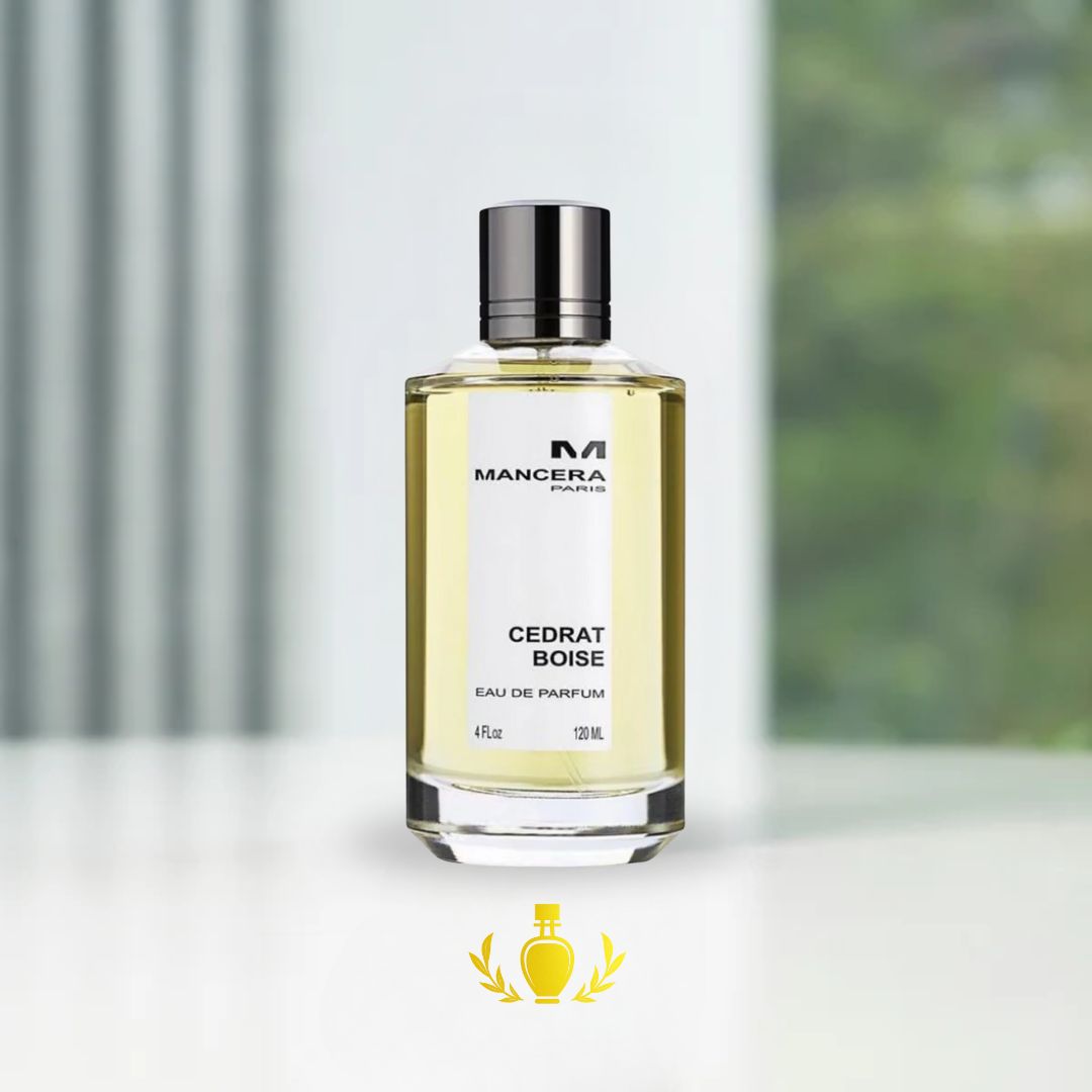 Frasco de 100 ml &#8211; 2025-08-21T121448.461